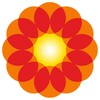光影电影手机免费最新版